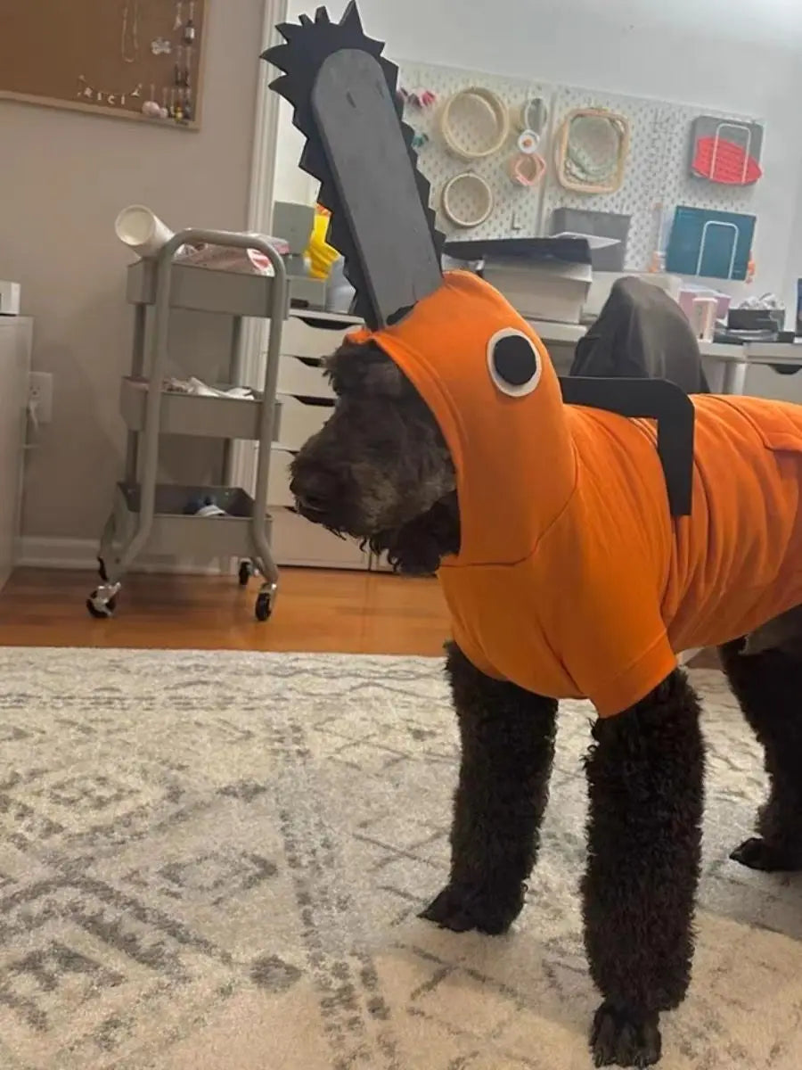 Chainsaw Man, Pochita dog costume